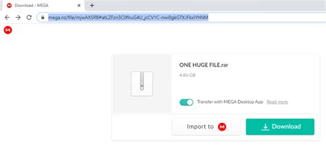 mega.nz/folder|mega nz file downloader.